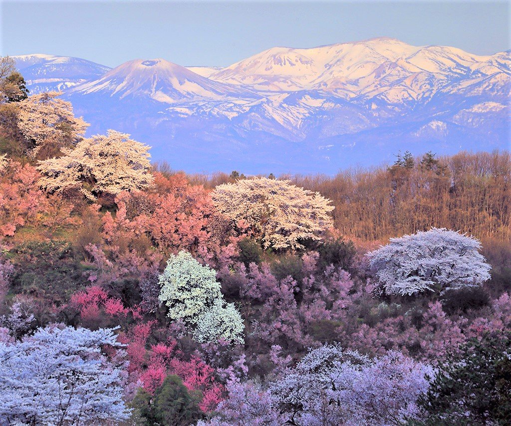 🏞️ 하마다테 공원 이미지 5